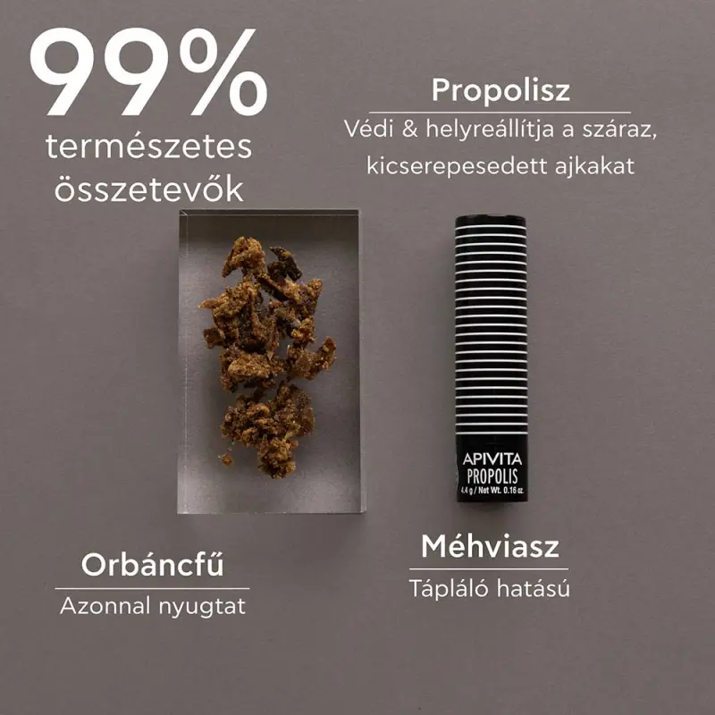 Ajakápoló stift propolisszal (4,4 g)