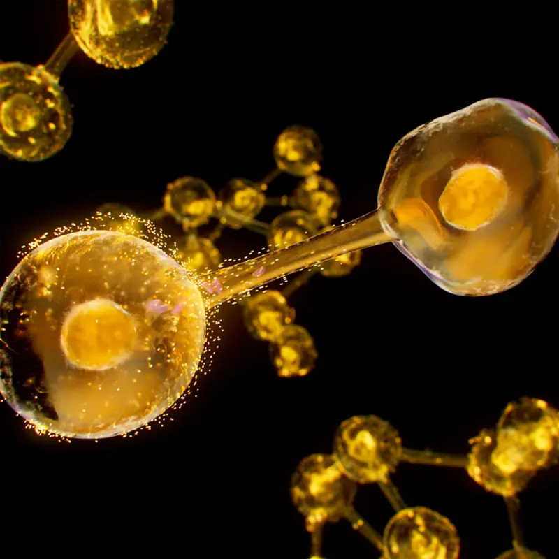 Excellage NT szemkörnyékápoló 15 ml