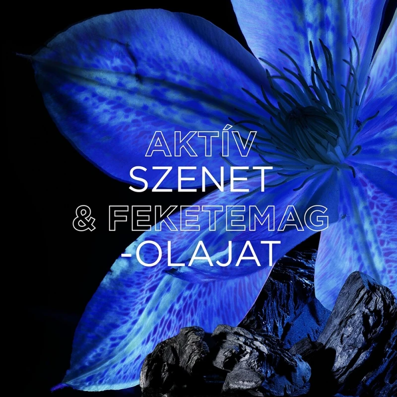 Botanic Therapy Magnetic Charcoal Kiegyensúlyozó sampon 250 ml