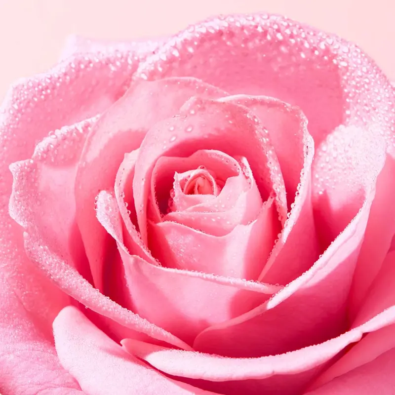 Very Rose 3 az 1-ben Nyugtató arctisztító micellás víz (400 ml)